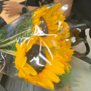 Girasoles combo 1